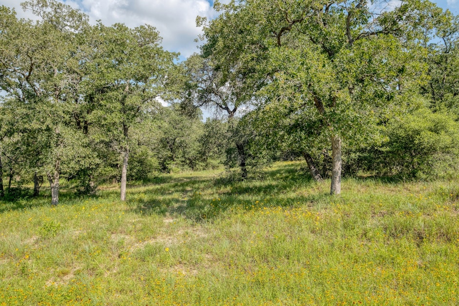 243 CROCKETT LN, LULING, TX 78648, Presented by Ginger Robbins, Riata